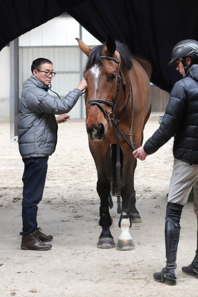Vinpearl Equestrian Cup 2025: Bước đột phá của thể thao cưỡi ngựa Việt Nam - Ảnh 6.