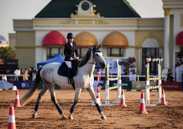 Vinpearl Equestrian Cup 2025: Bước đột phá của thể thao cưỡi ngựa Việt Nam - Ảnh 8.
