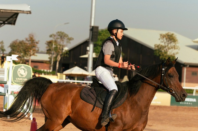 Vinpearl Equestrian Cup 2025: Bước đột phá của thể thao cưỡi ngựa Việt Nam - Ảnh 9.