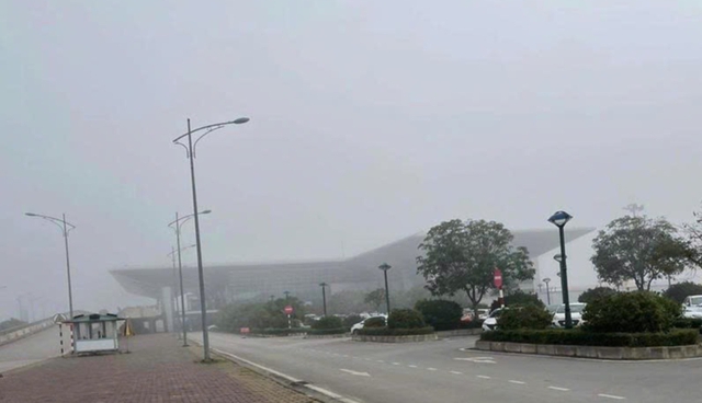  - Ảnh 1.