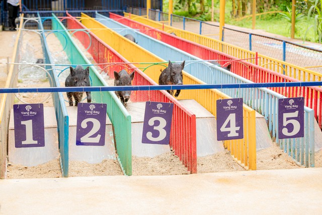 Yang Bay: "Lớp học ngoài trời" đánh thức đam mê khám phá của học sinh - Ảnh 2.