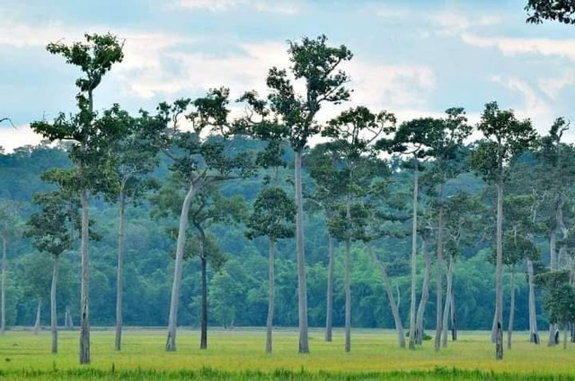 Rủ nhau về Tà Lài "chữa lành"- Ảnh 6.