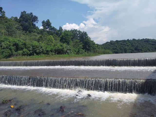 Rủ nhau về Tà Lài "chữa lành"- Ảnh 9.