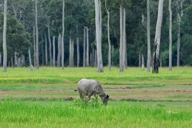 Rủ nhau về Tà Lài "chữa lành"- Ảnh 8.