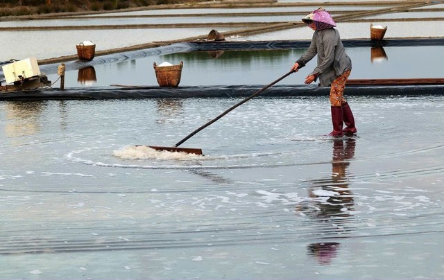 Diêm dân Cần Giờ phấn khởi vì muối tăng giá đầu năm- Ảnh 3.