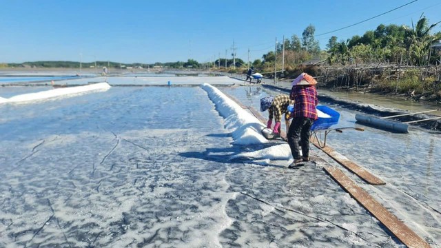 Diêm dân Cần Giờ phấn khởi vì muối tăng giá đầu năm- Ảnh 2.