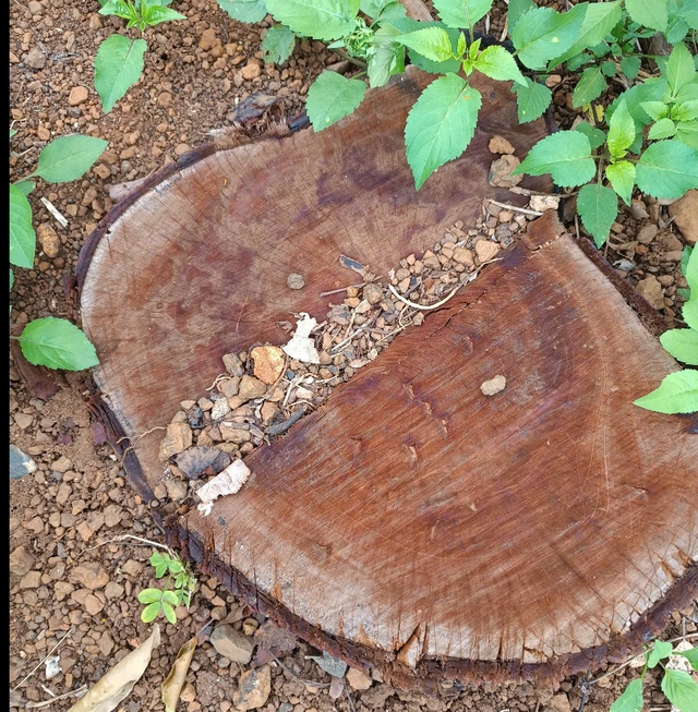 Bị xếp loại không hoàn thành nhiệm vụ sau khi 