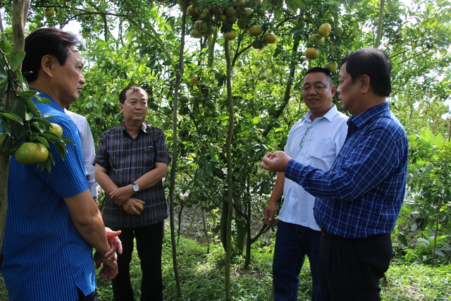 ĐẤT SEN HỒNG VƯƠN MÌNH TỎA SẮC (*): Đặt kinh tế xanh làm nhiệm vụ trọng tâm- Ảnh 1.