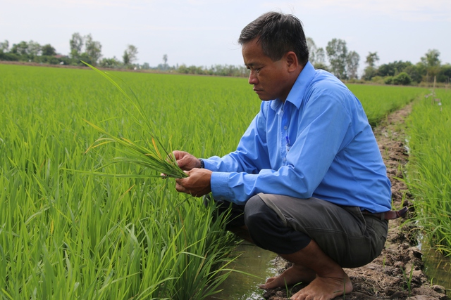 ĐẤT SEN HỒNG VƯƠN MÌNH TỎA SẮC (*): Chung tay thực hiện kỳ vọng lớn- Ảnh 3.