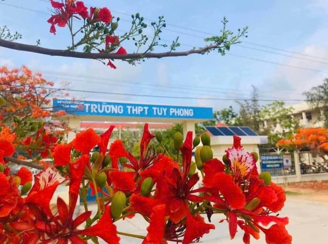 Yêu cầu tạm đình chỉ công tác thầy giáo bị tố