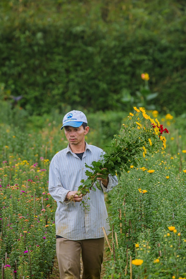 Cuộc thi viết "Tết thời số": Bức tranh xuân trên cánh đồng hoa Dương Nỗ- Ảnh 5.