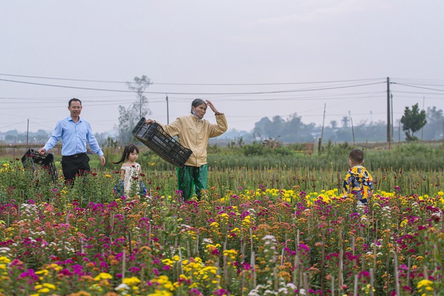 Cuộc thi viết "Tết thời số": Bức tranh xuân trên cánh đồng hoa Dương Nỗ- Ảnh 2.