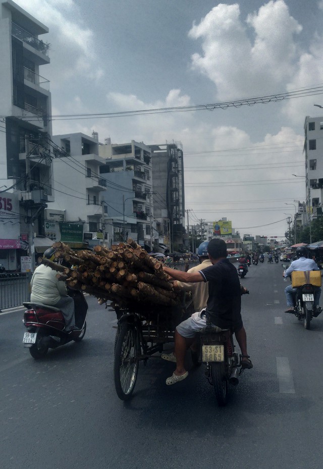 Nguy hiểm- Ảnh 1.