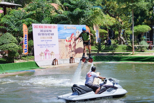 Khu du lịch Bàu trắng U&Me làm thôi nôi cho chú lạc đà pon đầu tiên sinh tại Việt Nam- Ảnh 5.