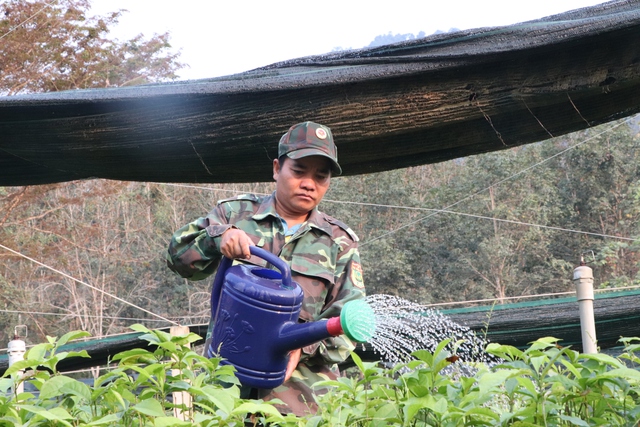 Sông Thanh rừng đã hồi sinh- Ảnh 3.