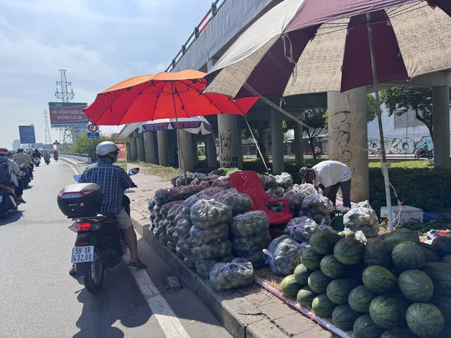 Nắng nóng, cam sành giải cứu tăng giá - Ảnh 2.