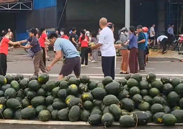 VIDEO: Người dân xếp hàng thu gom, “giải cứu” dưa hấu khi xe tải gặp nạn- Ảnh 2. VIDEO: Người dân xếp hàng thu gom, “giải cứu” dưa hấu khi xe tải gặp nạn- Ảnh 2.