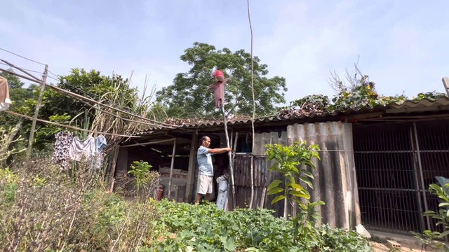 Đàn khỉ "manh động" dọa người truy đuổi, chính quyền đề nghị di dời- Ảnh 3. Đàn khỉ "manh động" dọa người truy đuổi, chính quyền đề nghị di dời- Ảnh 3.