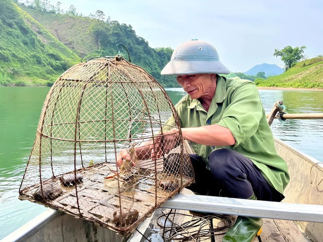 Phục hồi tài nguyên dưới mặt nước- Ảnh 1. Phục hồi tài nguyên dưới mặt nước- Ảnh 1.