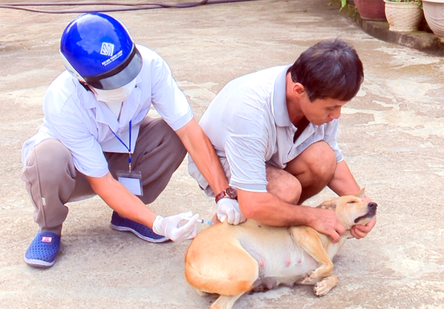 Bị chó nuôi trong nhà cắn trước Tết, người đàn ông vừa lên cơn “sợ gió, sợ nước” rồi tử vong - Ảnh 1. Bị chó nuôi trong nhà cắn trước Tết, người đàn ông vừa lên cơn “sợ gió, sợ nước” rồi tử vong - Ảnh 1.