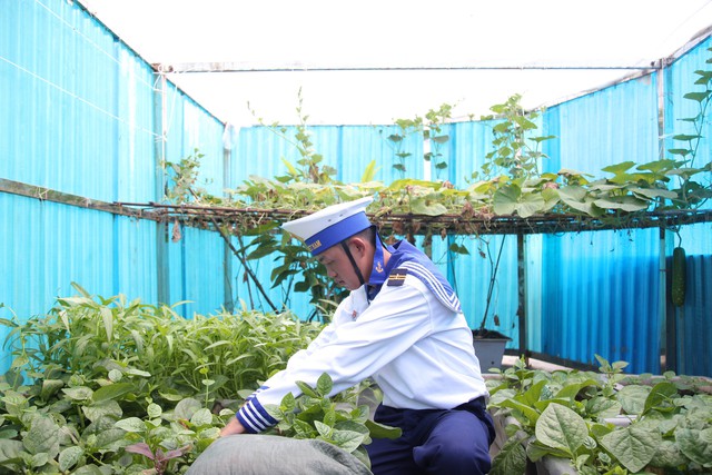 TP HCM mang nghĩa tình đến với Trường Sa và nhà giàn DK1- Ảnh 13. TP HCM mang nghĩa tình đến với Trường Sa và nhà giàn DK1 - Ảnh 13.