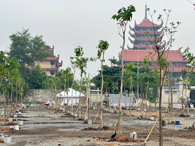 2,1 triệu cây xanh năm 2024: TP HCM chưa muốn dừng lại - Ảnh 2.