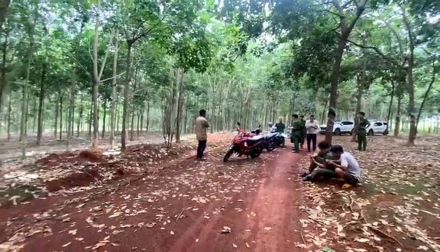 Bàng hoàng phát hiện thi thể nam giới treo lơ lửng trên cây cao su - Ảnh 1.