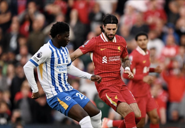 Tân vương Liverpool tiếp tục gục ngã, Brighton mơ vé châu Âu- Ảnh 1. Tân vương Liverpool tiếp tục gục ngã, Brighton mơ vé châu Âu- Ảnh 1.