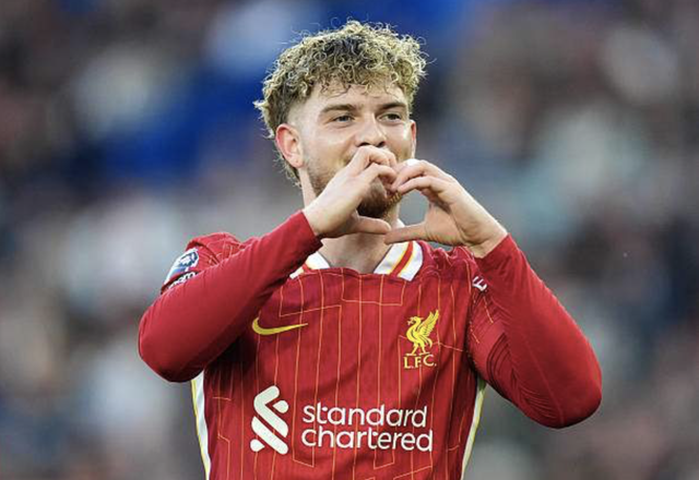 Tân vương Liverpool tiếp tục gục ngã, Brighton mơ vé châu Âu- Ảnh 2. Tân vương Liverpool tiếp tục gục ngã, Brighton mơ vé châu Âu- Ảnh 2.