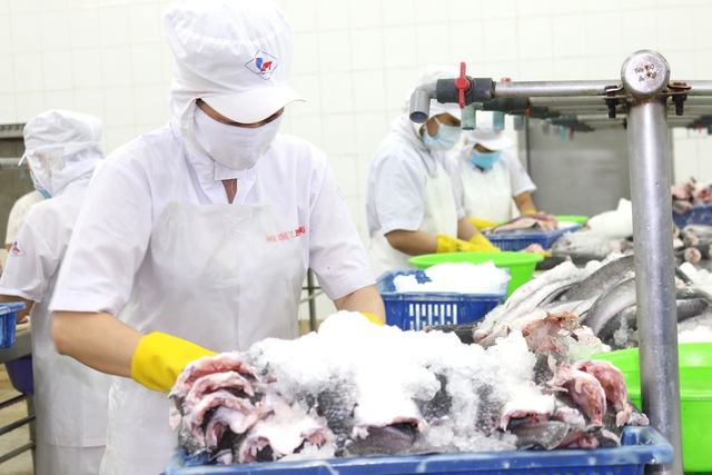 5 khoản tiền người lao động được nhận khi nghỉ việc từ năm 2025 - Ảnh 1.