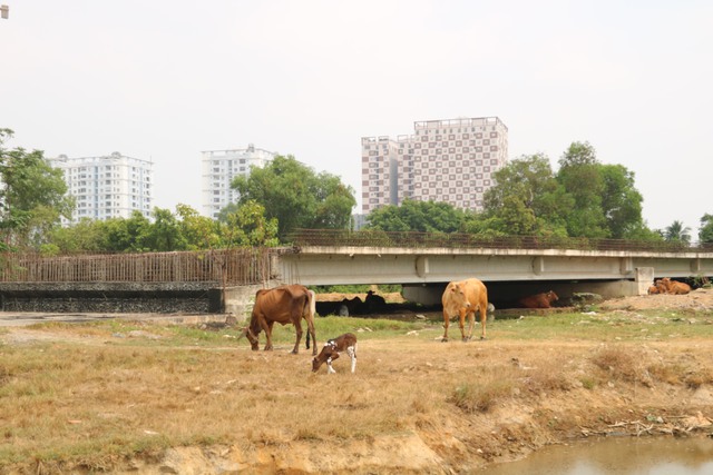 Đoạn vành đai 2 “ngủ quên” giữa lòng TP Thủ Đức - Ảnh 2.