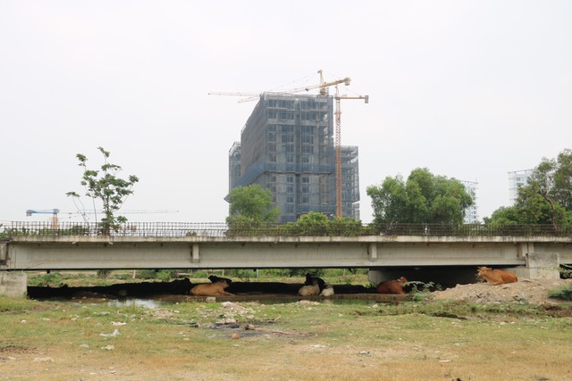 Đoạn vành đai 2 “ngủ quên” giữa lòng TP Thủ Đức - Ảnh 1.