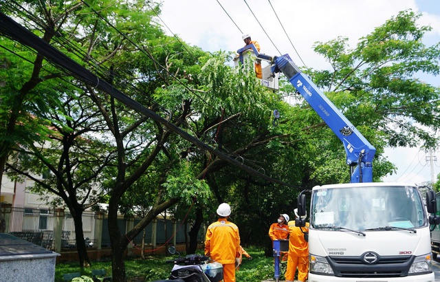 Ngành điện TP HCM tăng cường bảo đảm an toàn mùa mưa, bão- Ảnh 1. Ngành điện TP HCM tăng cường bảo đảm an toàn mùa mưa, bão- Ảnh 1.