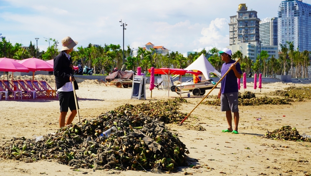 Rác đại dương "tấn công" biển Bãi Sau, TP Vũng Tàu - Ảnh 5.