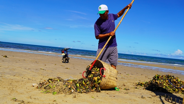 Rác đại dương "tấn công" biển Bãi Sau, TP Vũng Tàu - Ảnh 7.