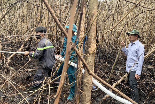Huy động hàng trăm người cứu khu rừng nguyên sinh- Ảnh 1. Huy động hàng trăm người cứu khu rừng nguyên sinh- Ảnh 1.