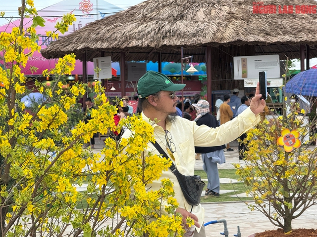 Hơn 350 gốc mai bung nở giữa mùa hè chào mừng Vesak Liên hợp quốc- Ảnh 7. Hơn 350 gốc mai bung nở giữa mùa hè chào mừng Vesak Liên hợp quốc- Ảnh 7.