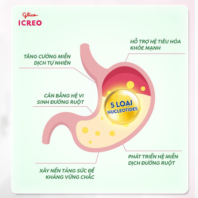 Tăng đề kháng cho bé thế nào hiệu quả, an toàn khi con còn nhỏ?- Ảnh 1.
