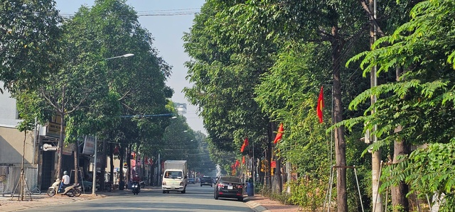 Phủ xanh đô thị - Ảnh 2. Phủ xanh đô thị - Ảnh 2.