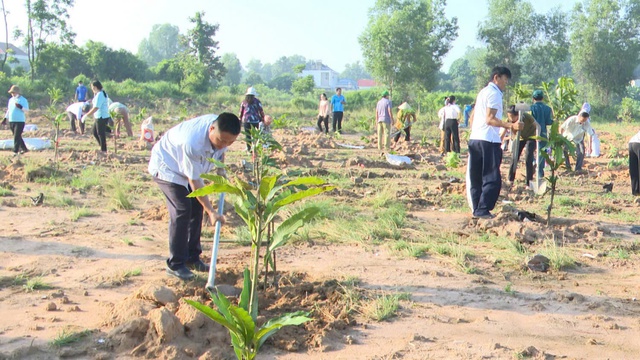 Phủ xanh đô thị - Ảnh 1. Phủ xanh đô thị - Ảnh 1.