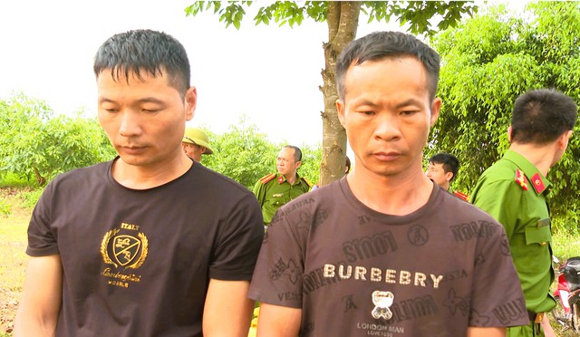 Vụ lăng mộ vua Lê Túc Tông bị xâm hại: Tạm giữ hình sự 2 người Trung Quốc - Ảnh 1.