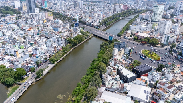 Cá chết hàng loạt sau cơn mưa hôm qua ở TP HCM - Ảnh 2.