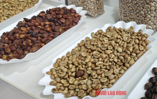 Giá cà phê hôm nay 9-5: “Bí kíp” xuất khẩu Robusta giá 6.000 USD/tấn - Ảnh 1.