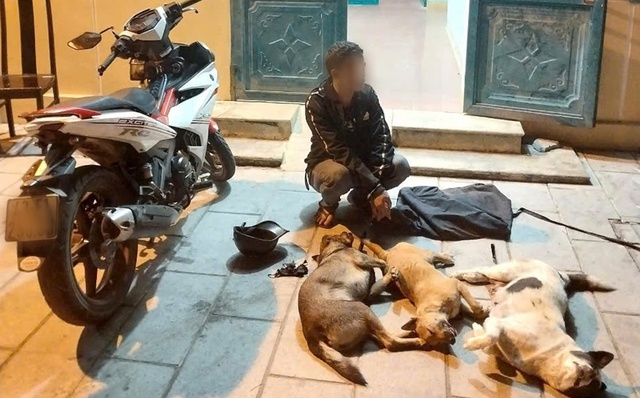 Phát hiện thanh niên trộm 3 con chó tại Quảng Nam - Ảnh 1.