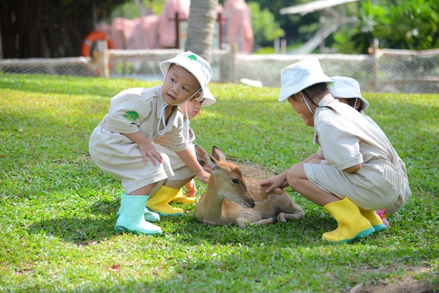 “Hè rực rỡ - Vui bất ngờ” - bùng nổ không khí hội hè tại Vinpearl và VinWonders khắp cả nước- Ảnh 5. “Hè rực rỡ - Vui bất ngờ” - bùng nổ không khí hội hè tại Vinpearl và VinWonders khắp cả nước- Ảnh 5.