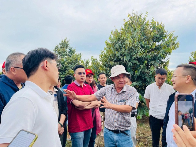 HAGL tuyển gấp 100 kỹ thuật viên sầu riêng với nhiều đãi ngộ hấp dẫn- Ảnh 1. HAGL tuyển gấp 100 kỹ thuật viên sầu riêng với nhiều đãi ngộ hấp dẫn- Ảnh 1.