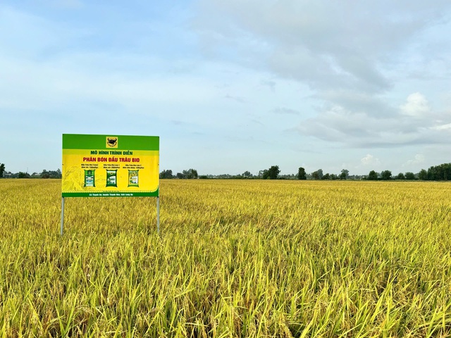 Giải mã cặp đôi “Bio và Canxi” – chìa khóa cho canh tác lúa bền vững ở ĐBSCL- Ảnh 3. Giải mã cặp đôi “Bio và Canxi” – chìa khóa cho canh tác lúa bền vững ở ĐBSCL- Ảnh 3.