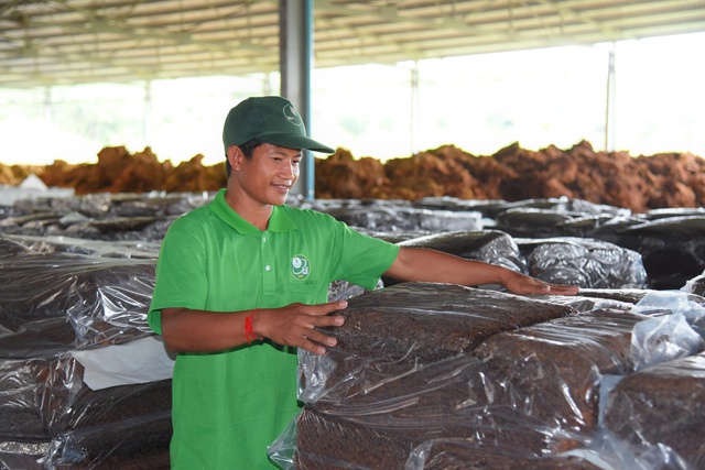 VRG và mục tiêu tăng trưởng 2 con số- Ảnh 2. VRG và mục tiêu tăng trưởng 2 con số- Ảnh 2.