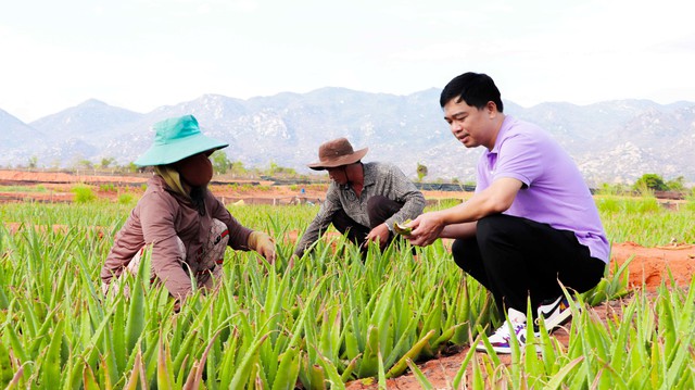Thạch nha đam – Món ăn của “sự tử tế”- Ảnh 3. Thạch nha đam – Món ăn của “sự tử tế”- Ảnh 3.