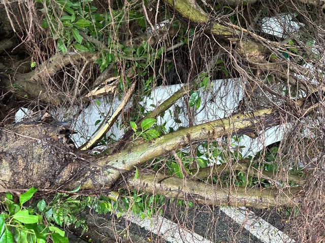 Cảnh báo hoàn lưu bão số 3 Wipha gây mưa rất to, đe dọa lũ quét, sạt lở đất tại hàng loạt địa phương - Ảnh 3.